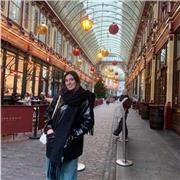 Clases de matemáticas y fisica para alumnos de la ESO